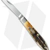 Case Teardrop Jack Knife 3.5" Bone Stag (6.51028 SS) 65308